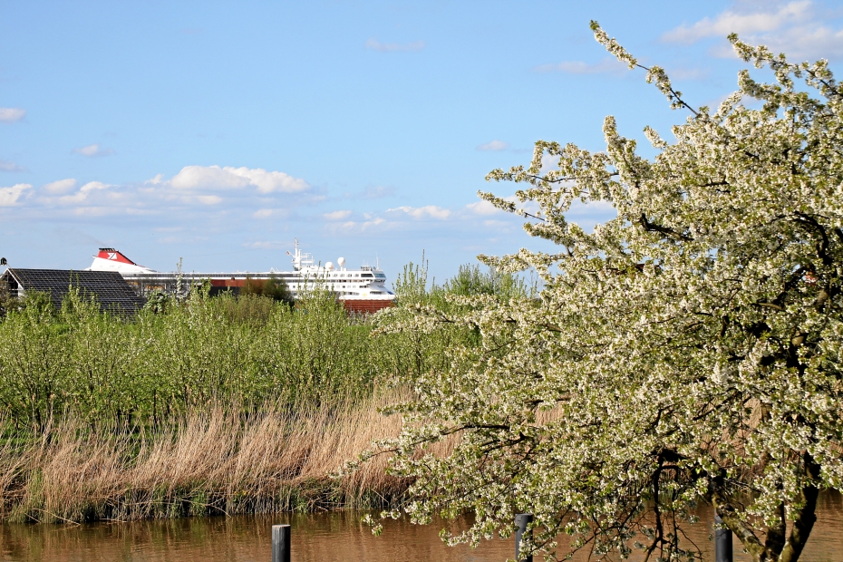 IMG11846.JPG - 02.05.2010: ???, Fred Olsen Cruises inbound